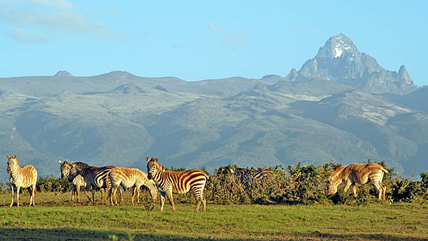 Mount Kenya National Park Reserve