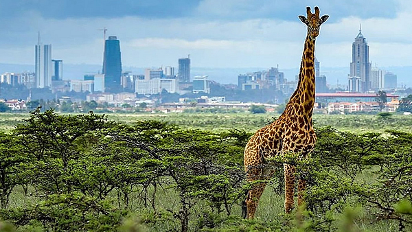 Nairobi National